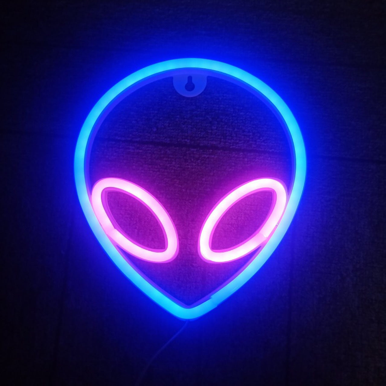 LED Wall Hanging Neon Modeling Lights - My Store